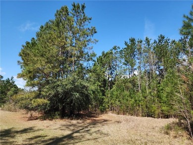 This property spans 1,175 acres and features over a mile of - photo 5