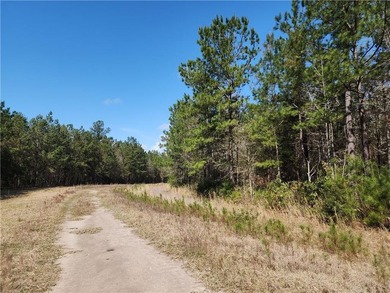 This property spans 1,175 acres and features over a mile of - photo 6