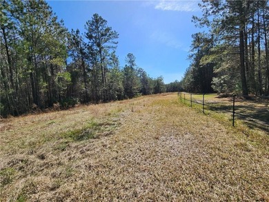 This property spans 1,175 acres and features over a mile of - photo 7