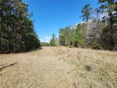 This property spans 1,175 acres and features over a mile of - photo 8