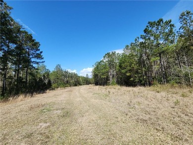 This property spans 1,175 acres and features over a mile of - photo 9