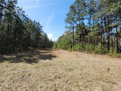 This property spans 1,175 acres and features over a mile of - photo 10