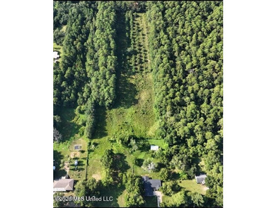 Over 8 acres located between I-10 and Downtown Ocean Springs - photo 1
