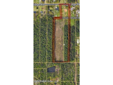 Over 8 acres located between I-10 and Downtown Ocean Springs - photo 3