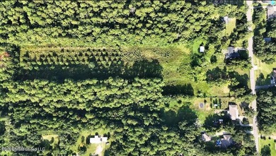 Over 8 acres located between I-10 and Downtown Ocean Springs - photo 4