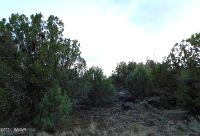 Lake Lot For Sale in Show Low, Arizona