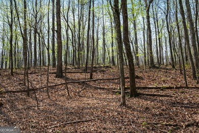 ALL 4 LOTS = +/-45.9 Acres Beautiful flowing CREEKS runs through - photo 11