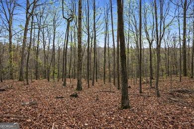 ALL 4 LOTS = +/-45.9 Acres Beautiful flowing CREEKS runs through - photo 12