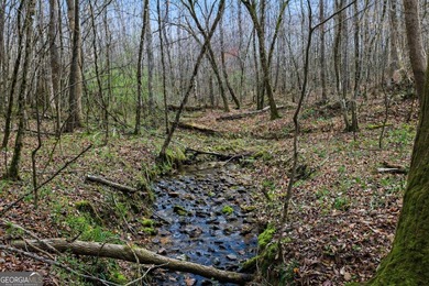 ALL 4 LOTS = +/-45.9 Acres Beautiful flowing CREEKS runs through - photo 13