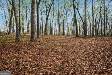 ALL 4 LOTS = +/-45.9 Acres Beautiful flowing CREEKS runs through - photo 14