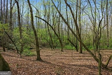 ALL 4 LOTS = +/-45.9 Acres Beautiful flowing CREEKS runs through - photo 15