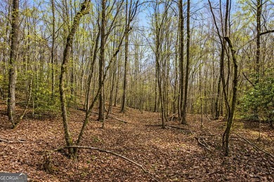 ALL 4 LOTS = +/-45.9 Acres Beautiful flowing CREEKS runs through - photo 16