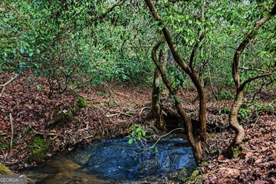 ALL 4 LOTS = +/-45.9 Acres Beautiful flowing CREEKS runs through - photo 17