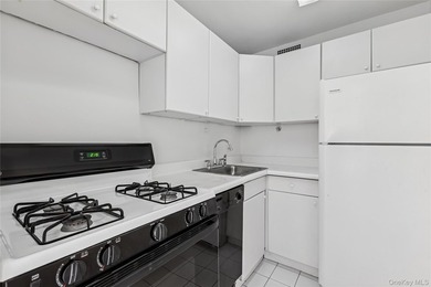 Large and Lovely 700 square foot studio easily convertible to - photo 7