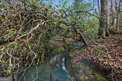 ALL 4 LOTS = +/-45.9 Acres Beautiful flowing CREEKS runs through - photo 18