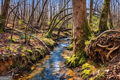 ALL 4 LOTS = +/-45.9 Acres Beautiful flowing CREEKS runs through - photo 19