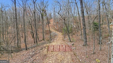 ALL 4 LOTS = +/-45.9 Acres Beautiful flowing CREEKS runs through - photo 20