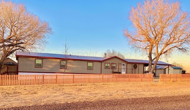 Lake Meredith Home For Sale in Sanford Texas