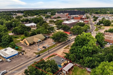 Commercial Opportunity in the Heart of Gulfport: This investment - photo 1