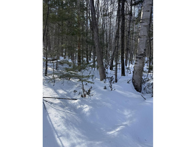 Great Moose Lake Acreage For Sale in Hartland Maine