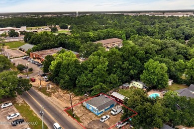 Commercial Opportunity in the Heart of Gulfport: This investment - photo 2
