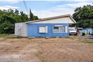 Commercial Opportunity in the Heart of Gulfport: This investment - photo 5