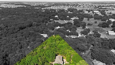 Nestled on a breathtaking 3.645-acre homesite in the highly - photo 36