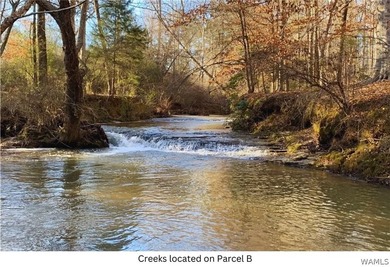 Barbee Creek Preserve is a rare opportunity to own one of the - photo 39