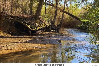 Barbee Creek Preserve is a rare opportunity to own one of the - photo 40