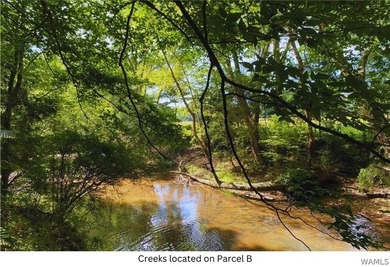 Barbee Creek Preserve is a rare opportunity to own one of the - photo 41