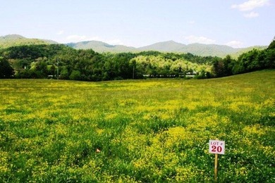 Valley River Lot For Sale in Marble North Carolina