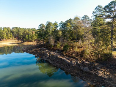 Lake Lot For Sale in Arley, Alabama
