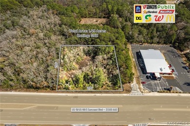 Positioned directly on US Hwy 19/98 in the heart of Homosassa - photo 2