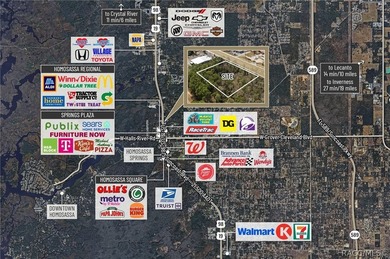 Positioned directly on US Hwy 19/98 in the heart of Homosassa - photo 3