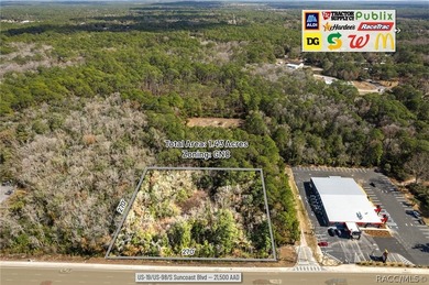 Positioned directly on US Hwy 19/98 in the heart of Homosassa - photo 4
