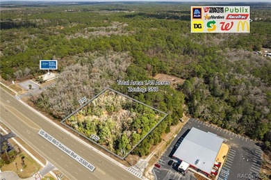 Positioned directly on US Hwy 19/98 in the heart of Homosassa - photo 5