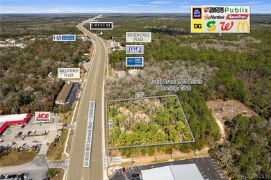 Positioned directly on US Hwy 19/98 in the heart of Homosassa - photo 6