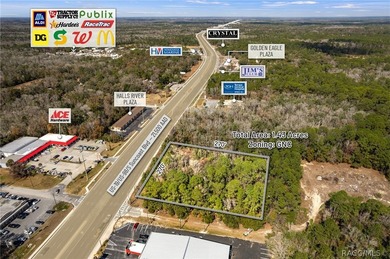 Positioned directly on US Hwy 19/98 in the heart of Homosassa - photo 7
