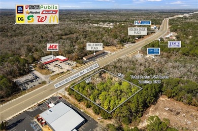 Positioned directly on US Hwy 19/98 in the heart of Homosassa - photo 8