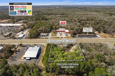 Positioned directly on US Hwy 19/98 in the heart of Homosassa - photo 9