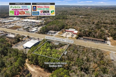Positioned directly on US Hwy 19/98 in the heart of Homosassa - photo 10