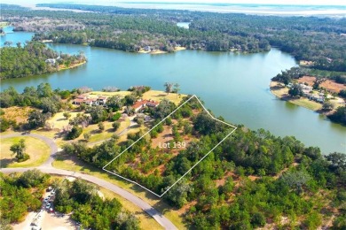 Lake Acreage For Sale in Saint Simons, Georgia