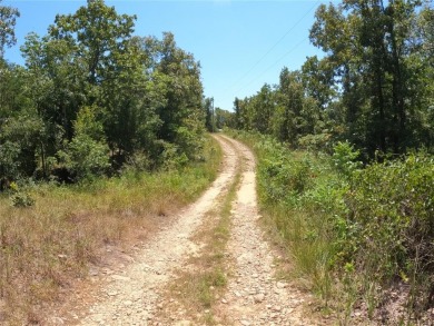 Pine Creek Lake Lot For Sale in Wright City Oklahoma