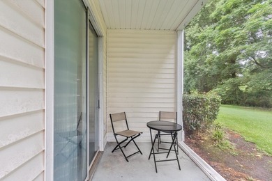 Discover this beautifully renovated first-floor end-unit condo - photo 22