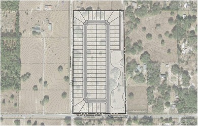 This 19.3+/- acre development tract is strategically positioned - photo 3