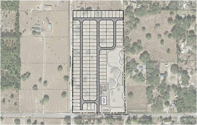This 19.3+/- acre development tract is strategically positioned - photo 4
