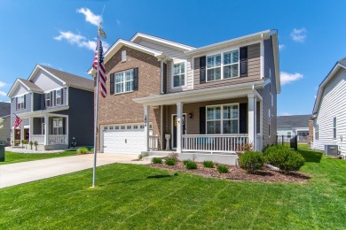Lake Home For Sale in Shorewood, Illinois