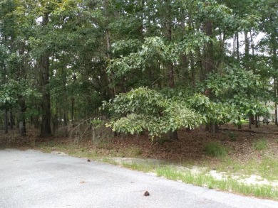 Big Poplar Lot For Sale in Elloree South Carolina
