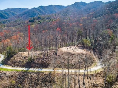 Lake Nantahala Lot For Sale in Andrews North Carolina