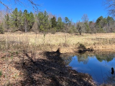 Nottley River Acreage For Sale in Murphy North Carolina